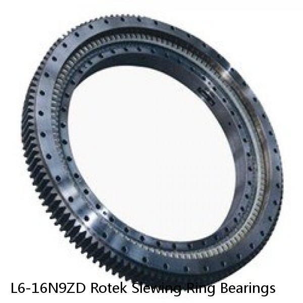 L6-16N9ZD Rotek Slewing Ring Bearings