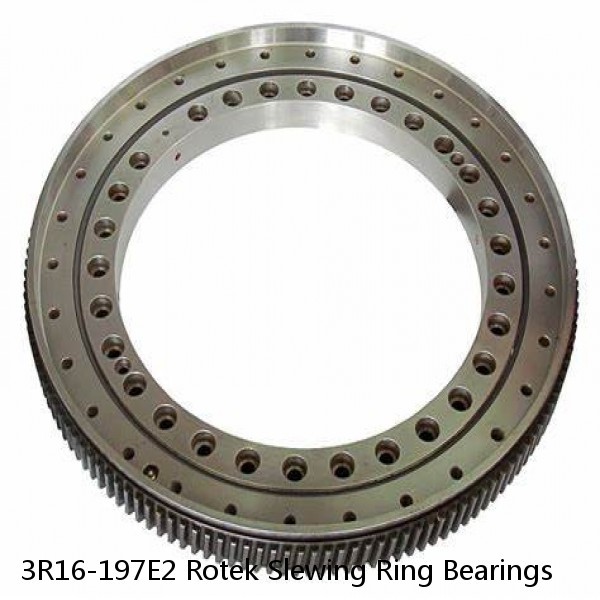 3R16-197E2 Rotek Slewing Ring Bearings