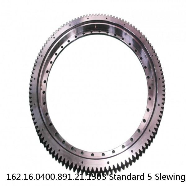 162.16.0400.891.21.1503 Standard 5 Slewing Ring Bearings