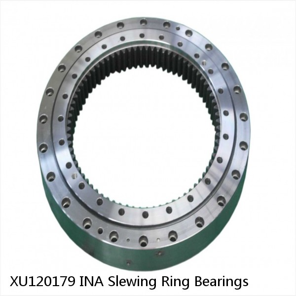 XU120179 INA Slewing Ring Bearings