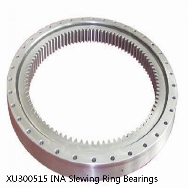 XU300515 INA Slewing Ring Bearings