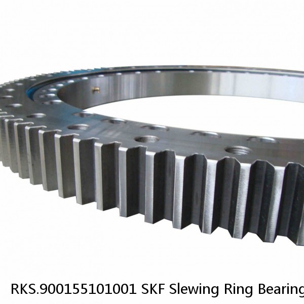 RKS.900155101001 SKF Slewing Ring Bearings