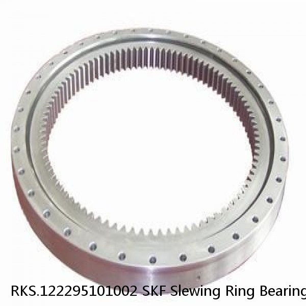 RKS.122295101002 SKF Slewing Ring Bearings