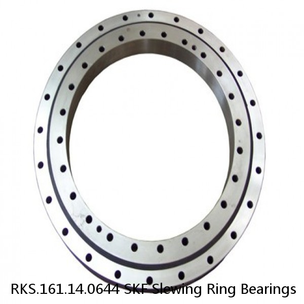 RKS.161.14.0644 SKF Slewing Ring Bearings