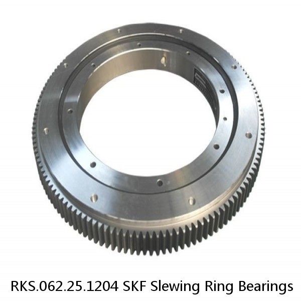 RKS.062.25.1204 SKF Slewing Ring Bearings