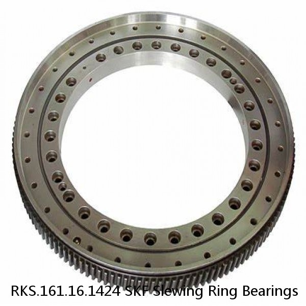 RKS.161.16.1424 SKF Slewing Ring Bearings