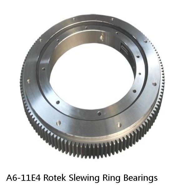 A6-11E4 Rotek Slewing Ring Bearings