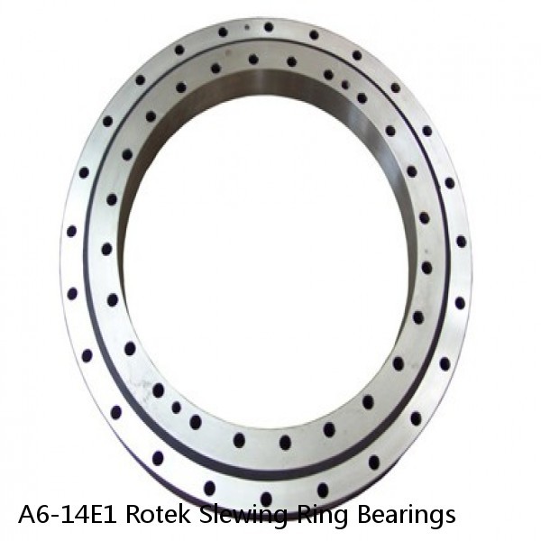 A6-14E1 Rotek Slewing Ring Bearings