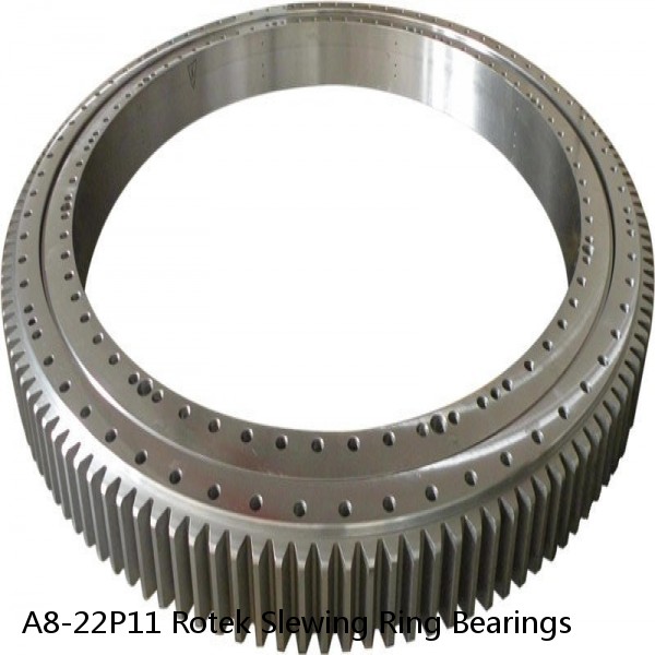 A8-22P11 Rotek Slewing Ring Bearings