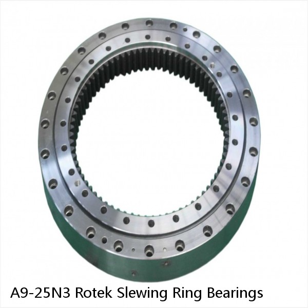 A9-25N3 Rotek Slewing Ring Bearings