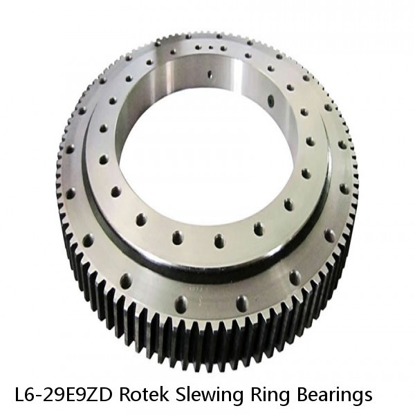 L6-29E9ZD Rotek Slewing Ring Bearings