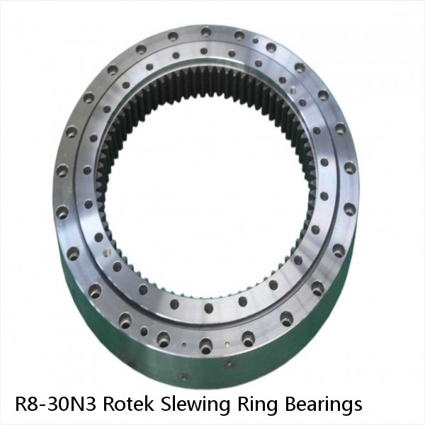 R8-30N3 Rotek Slewing Ring Bearings