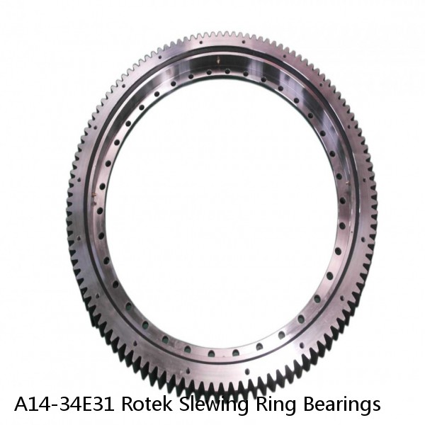 A14-34E31 Rotek Slewing Ring Bearings