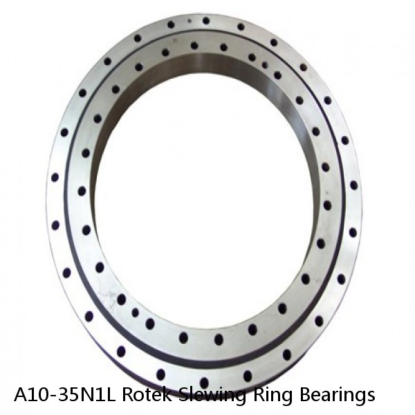 A10-35N1L Rotek Slewing Ring Bearings