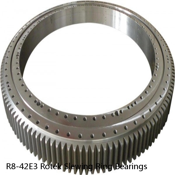 R8-42E3 Rotek Slewing Ring Bearings