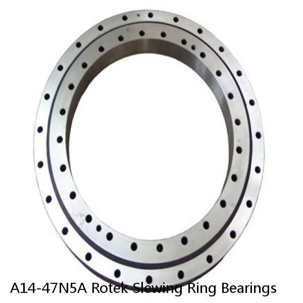 A14-47N5A Rotek Slewing Ring Bearings