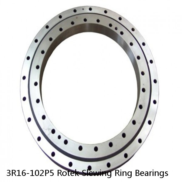 3R16-102P5 Rotek Slewing Ring Bearings