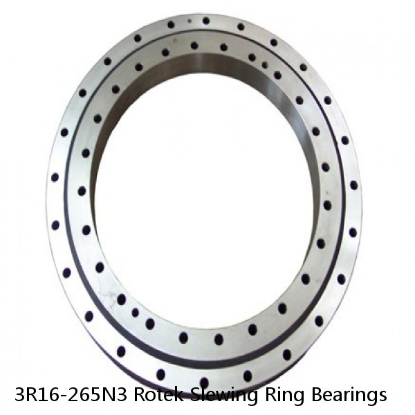 3R16-265N3 Rotek Slewing Ring Bearings