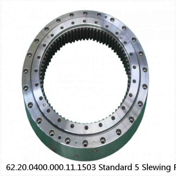 62.20.0400.000.11.1503 Standard 5 Slewing Ring Bearings