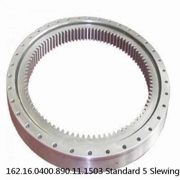 162.16.0400.890.11.1503 Standard 5 Slewing Ring Bearings