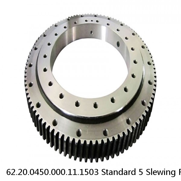 62.20.0450.000.11.1503 Standard 5 Slewing Ring Bearings