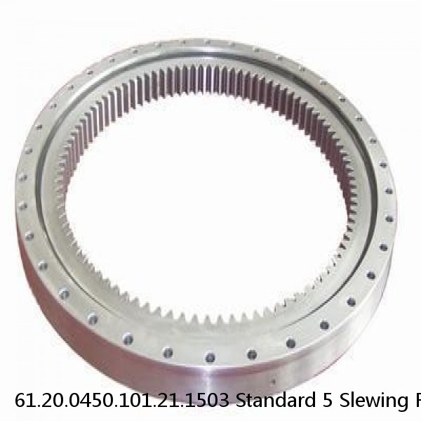 61.20.0450.101.21.1503 Standard 5 Slewing Ring Bearings