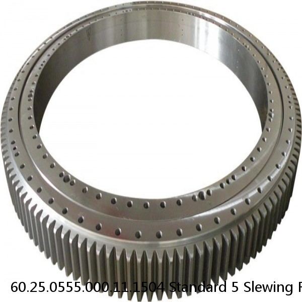 60.25.0555.000.11.1504 Standard 5 Slewing Ring Bearings