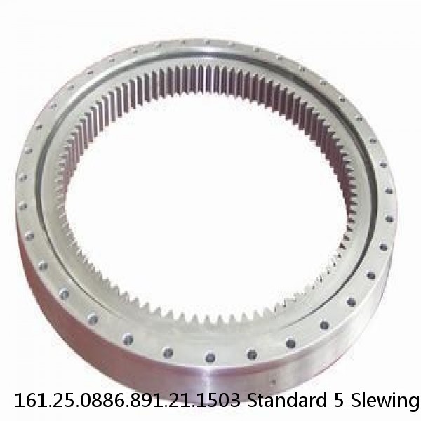 161.25.0886.891.21.1503 Standard 5 Slewing Ring Bearings