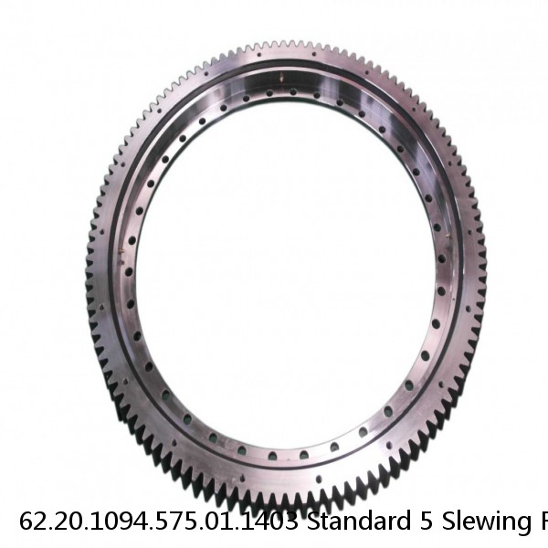 62.20.1094.575.01.1403 Standard 5 Slewing Ring Bearings