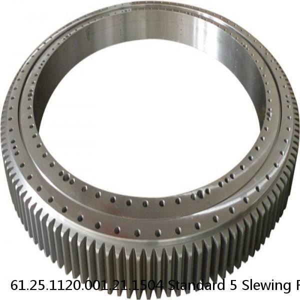 61.25.1120.001.21.1504 Standard 5 Slewing Ring Bearings