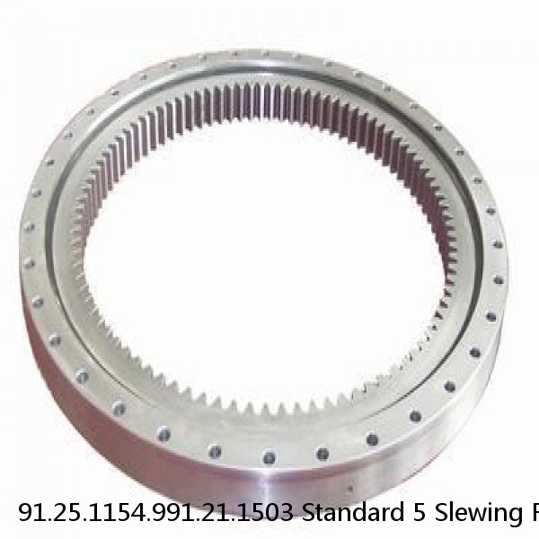 91.25.1154.991.21.1503 Standard 5 Slewing Ring Bearings