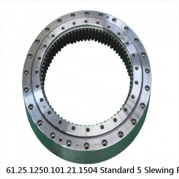 61.25.1250.101.21.1504 Standard 5 Slewing Ring Bearings